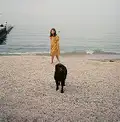 Person with dog on beach